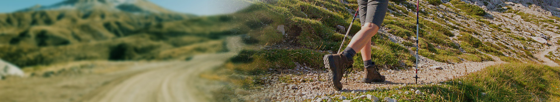 انکوائری بھیجیں